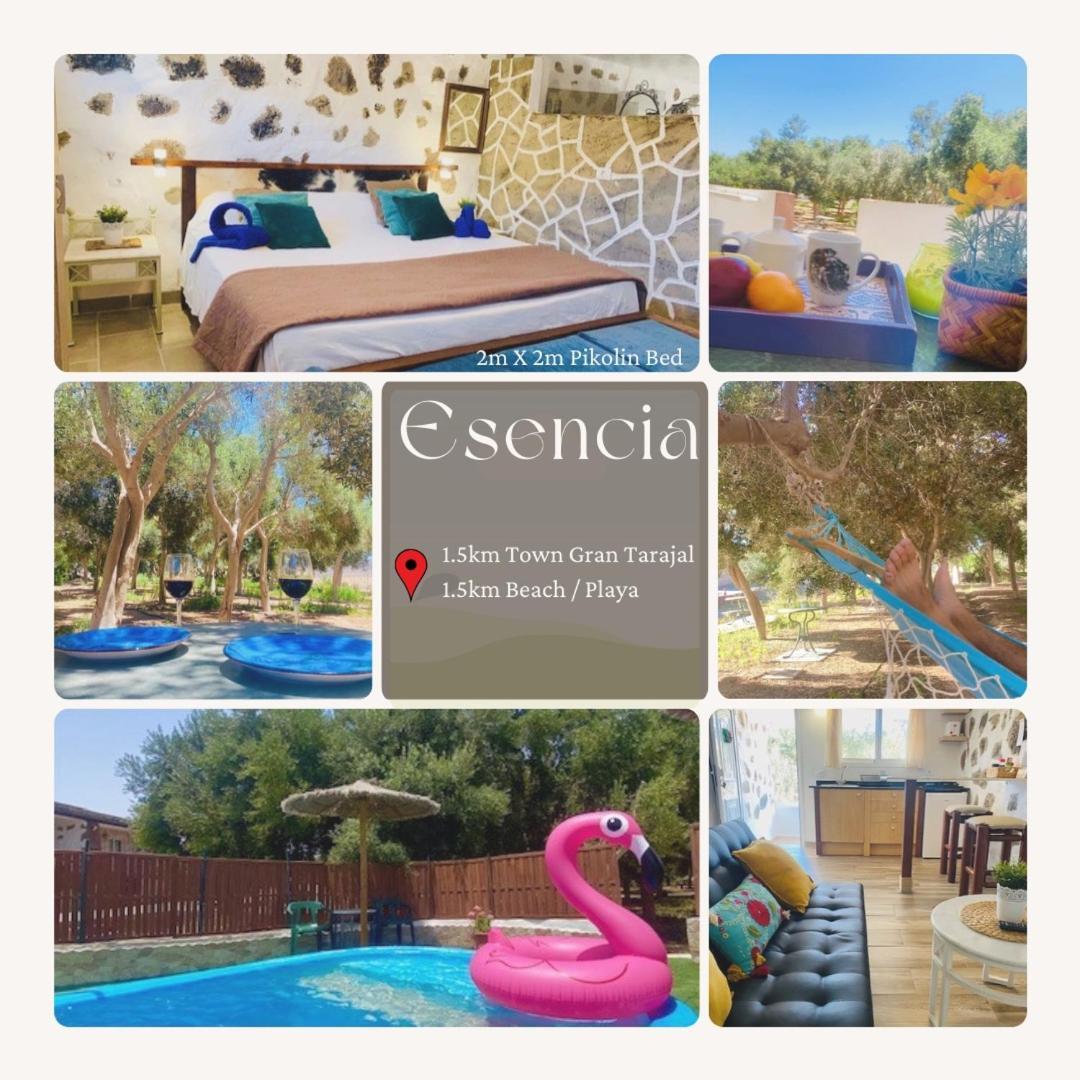 Bungalow Alma #Only Adults El Charco  Bagian luar foto